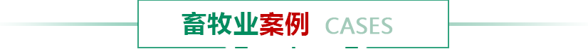 成功案例